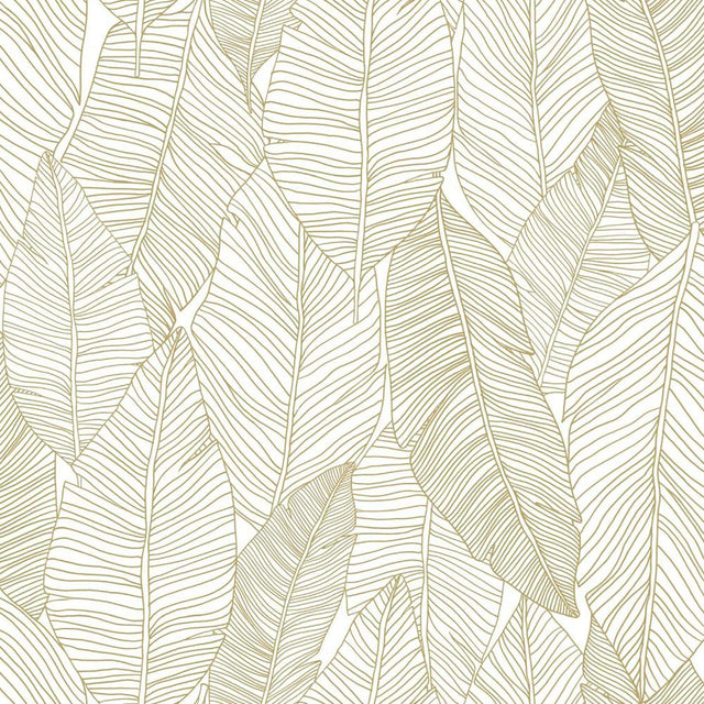 York Canales White Gold Inked Leaves Wallpaper