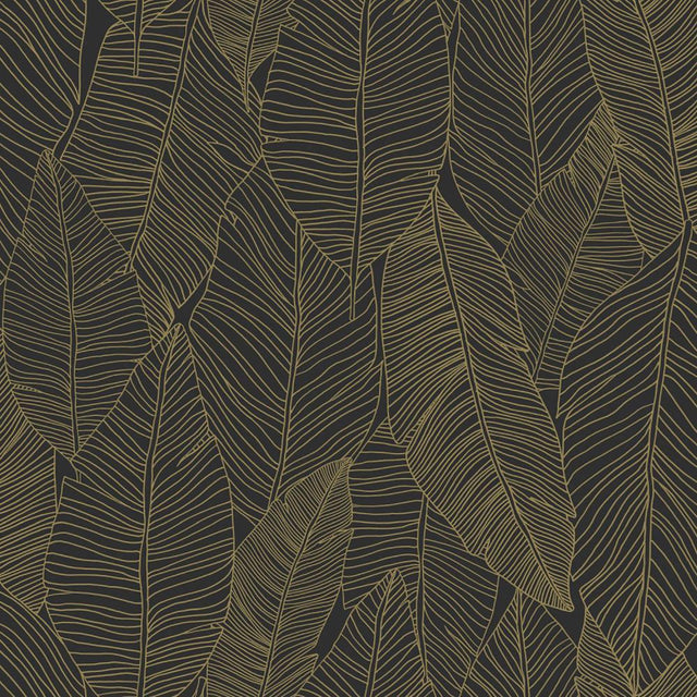 York Canales Black Gold Inked Leaves Wallpaper
