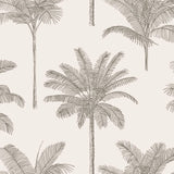 York Taj Beige Palm Trees Wallpaper