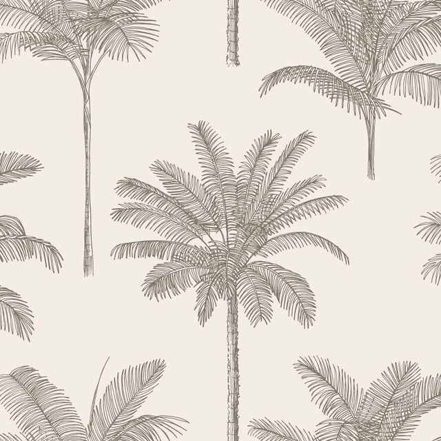 York Taj Beige Palm Trees Wallpaper