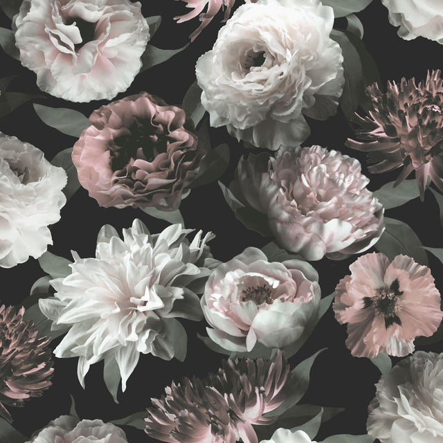 York Contessa Blush Flowers Wallpaper