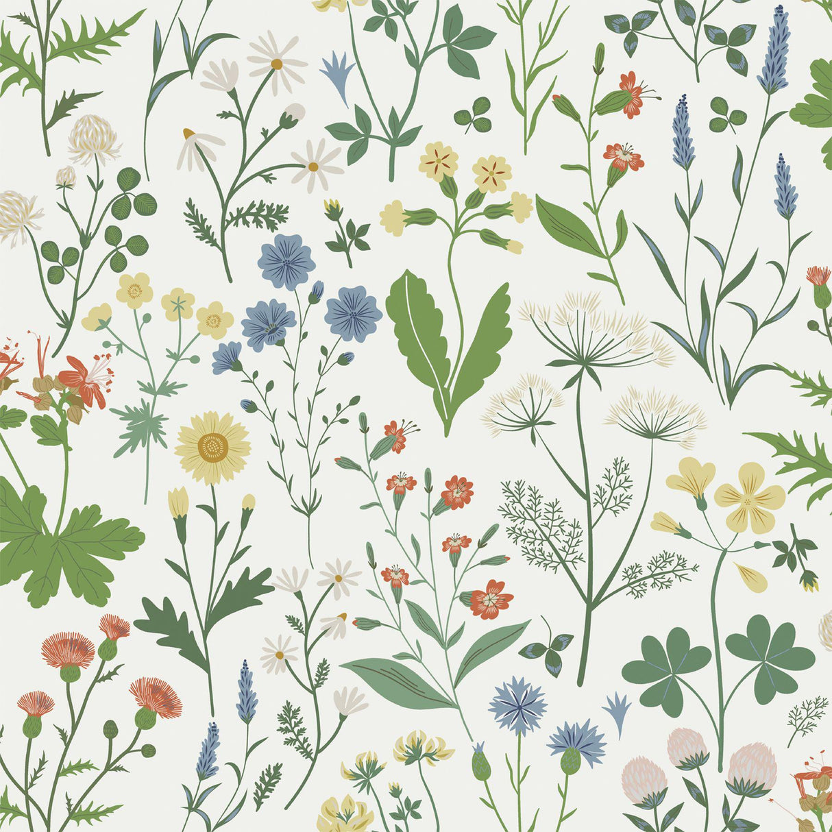 York Fiore Green Wildflowers Wallpaper