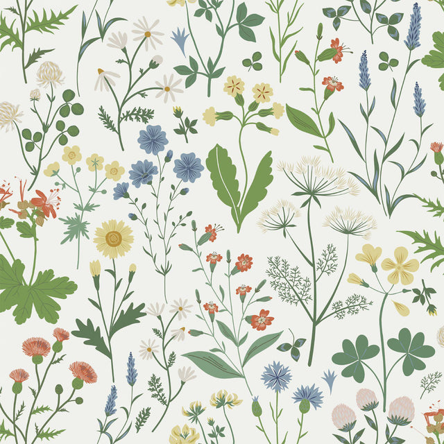 York Fiore Green Wildflowers Wallpaper
