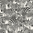 York Jemima Black Zebra Wallpaper