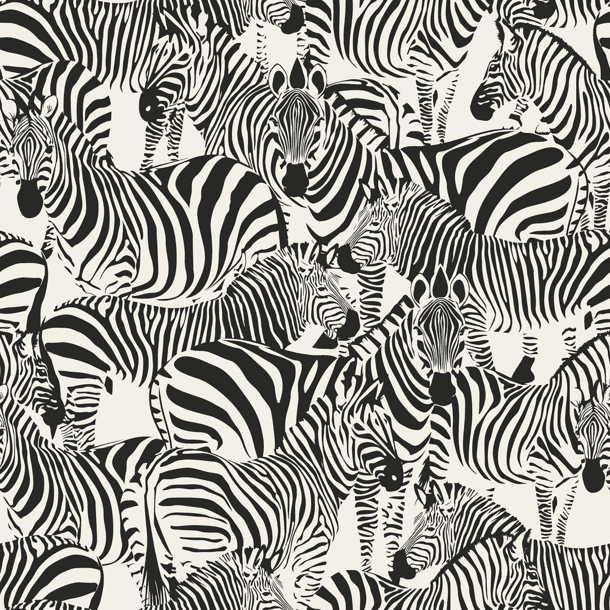 York Jemima Black Zebra Wallpaper