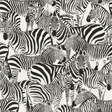 York Jemima Black Zebra Wallpaper