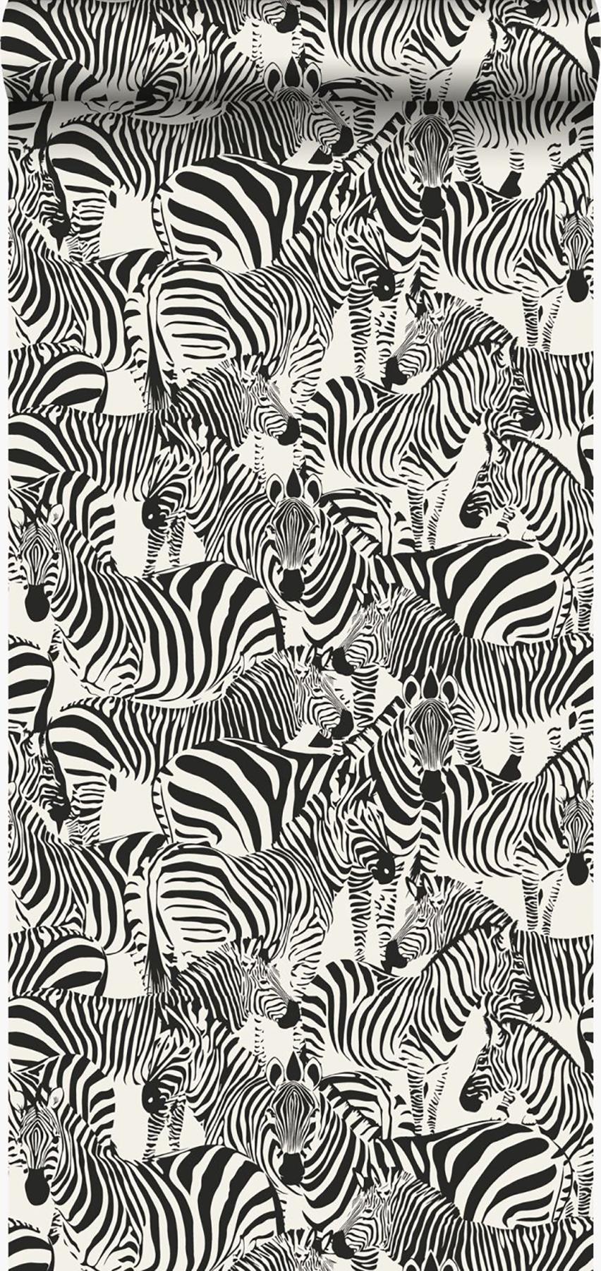 York Jemima Black Zebra Wallpaper