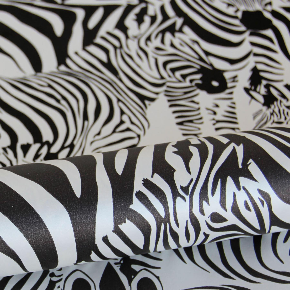 York Jemima Black Zebra Wallpaper