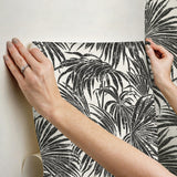 York Black & White Cassava Palm Peel & Stick Wallpaper
