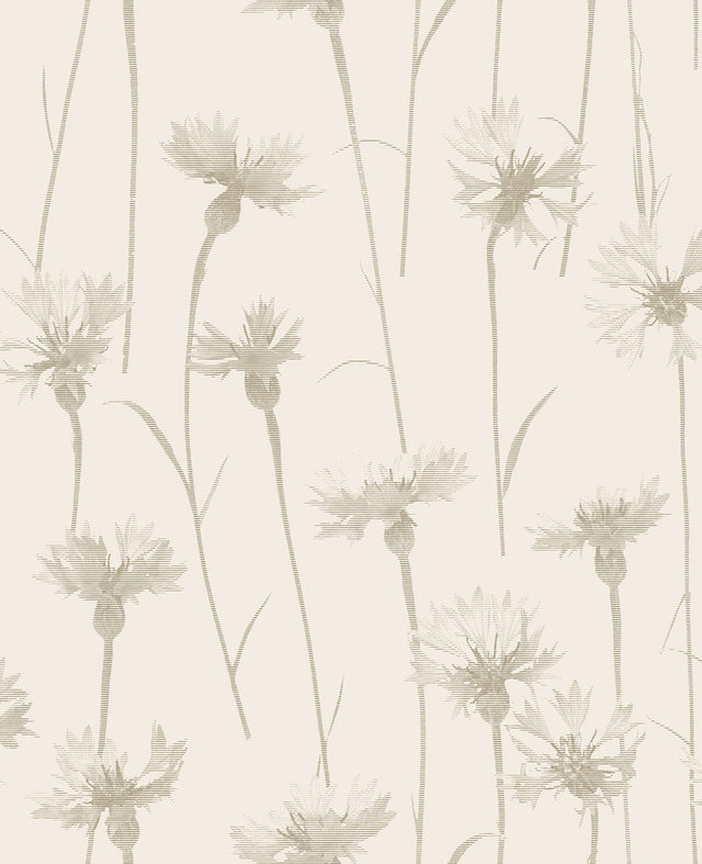 York Dalia Beige Cornflower Wallpaper