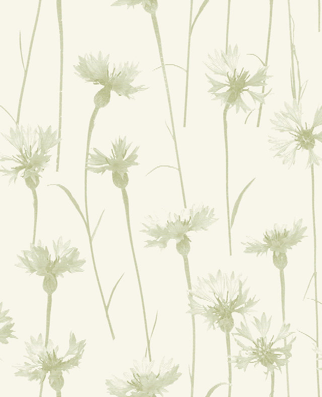York Dalia Green Cornflower Wallpaper