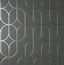 York Raye Charcoal Rosco Trellis Wallpaper