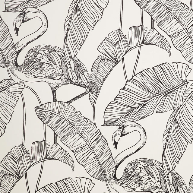 York Mulholland White Flamingo Wallpaper