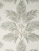 York Bali Light Grey Palm Wallpaper