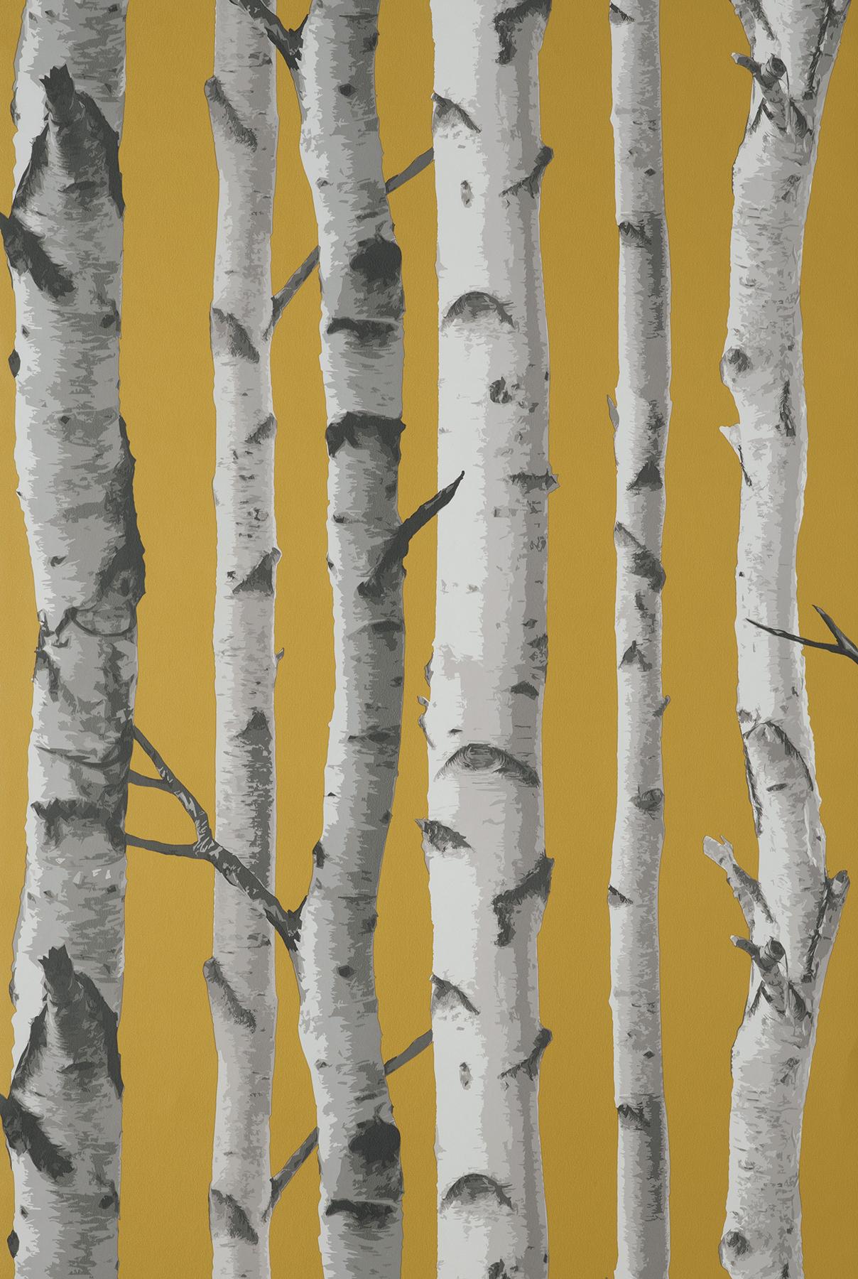 York Chester Mustard Birch Trees Wallpaper