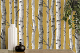 York Chester Mustard Birch Trees Wallpaper