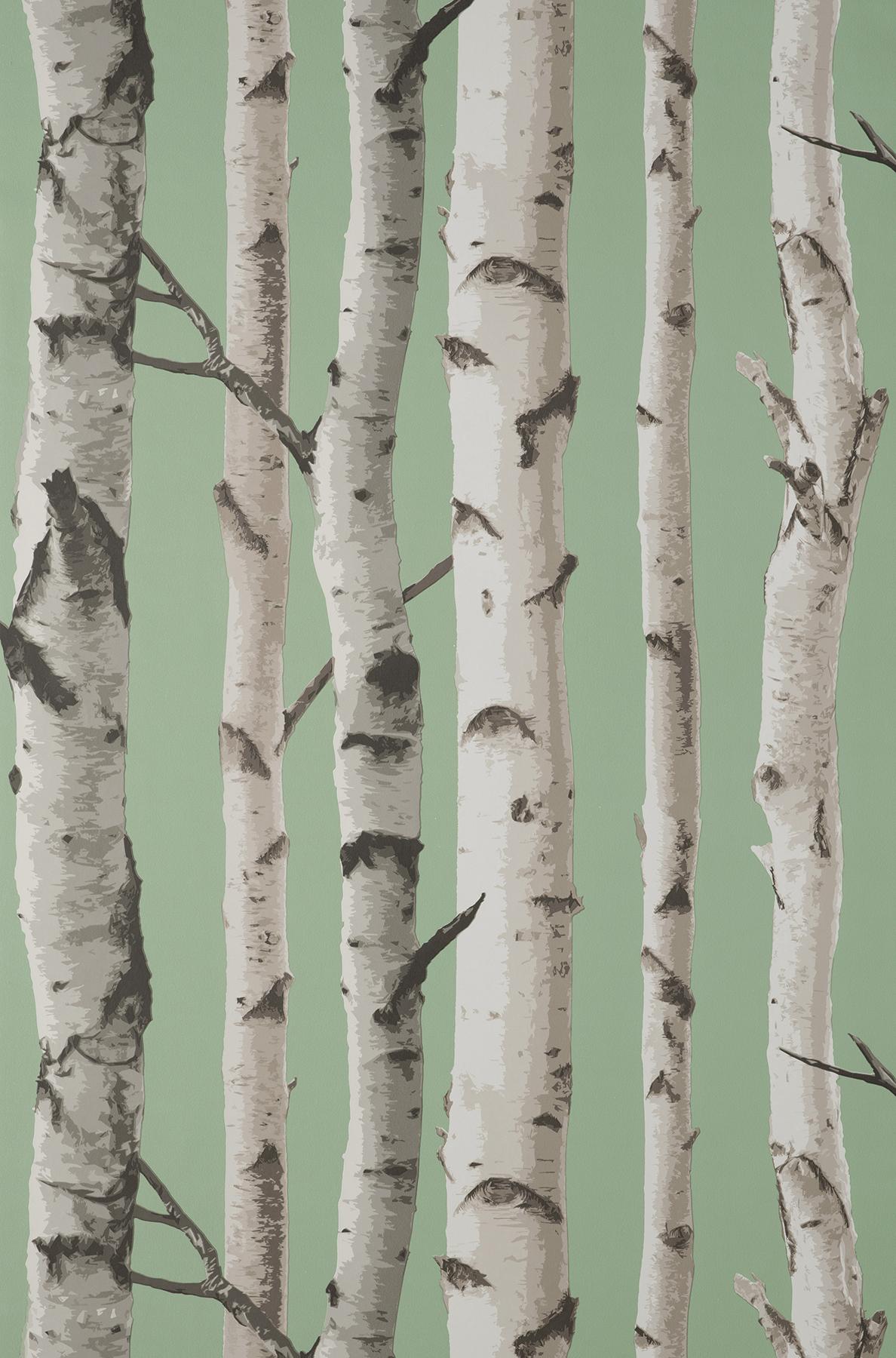 York Chester Sage Birch Trees Wallpaper