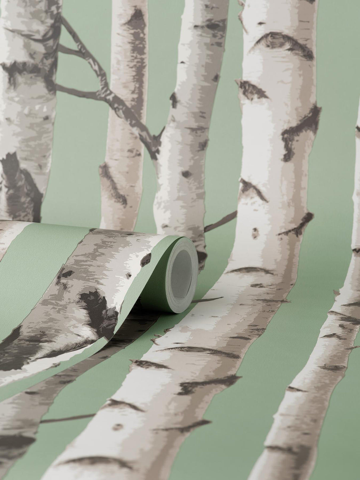 York Chester Sage Birch Trees Wallpaper