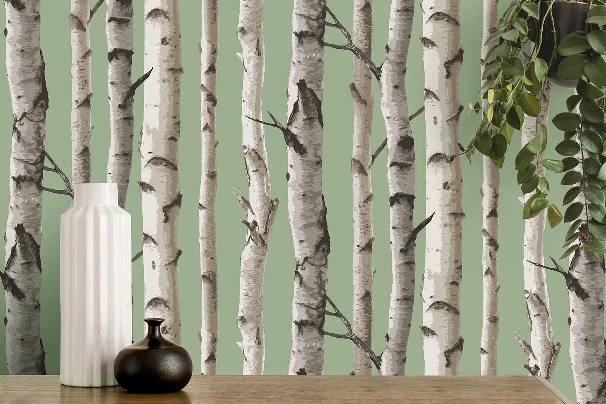 York Chester Sage Birch Trees Wallpaper