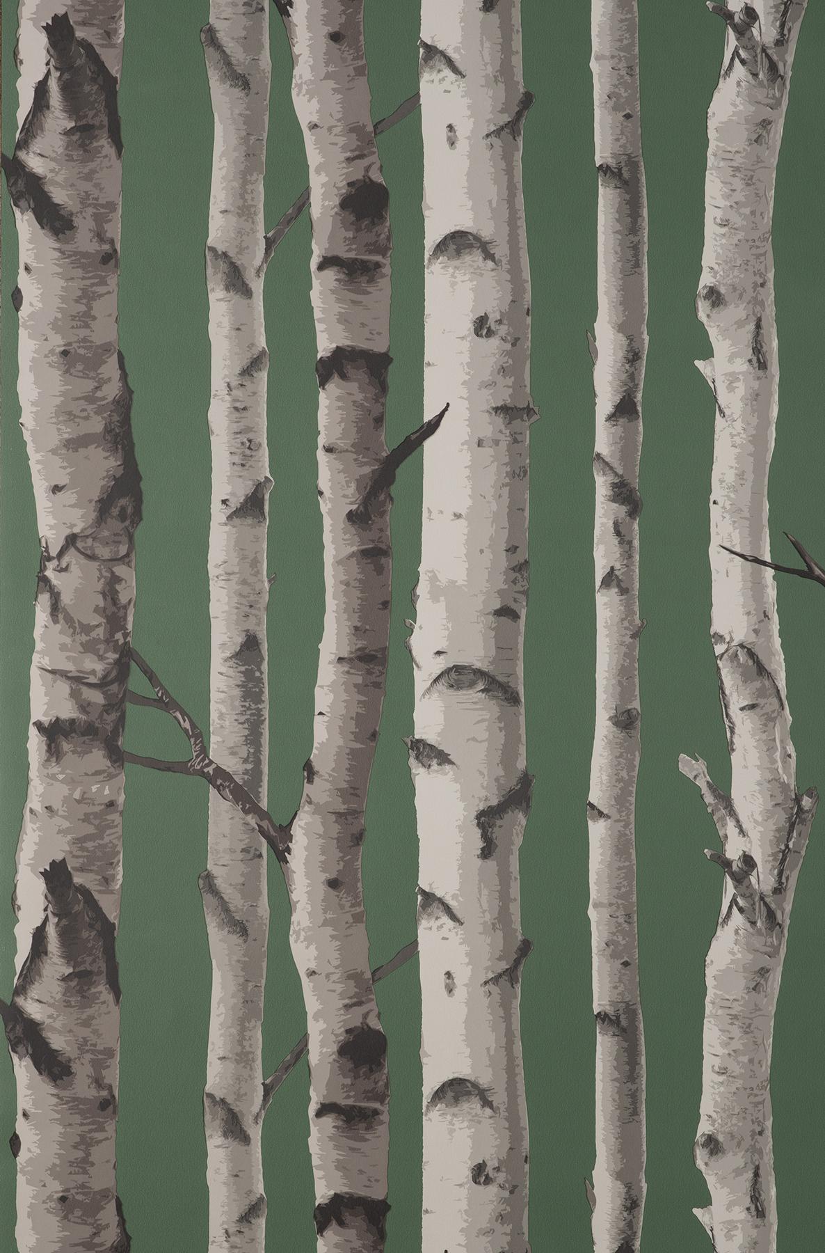 York Chester Dark Green Birch Trees Wallpaper