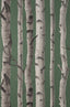 York Chester Dark Green Birch Trees Wallpaper