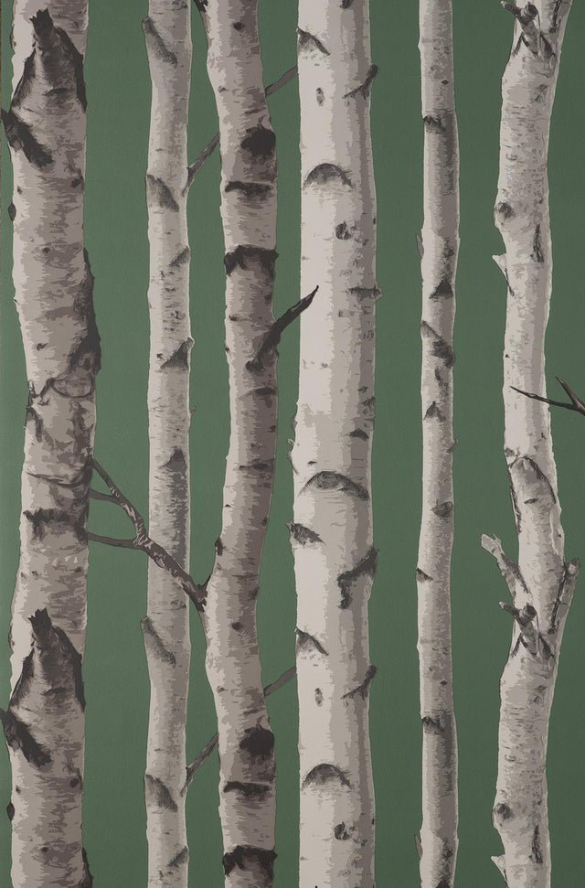 York Chester Dark Green Birch Trees Wallpaper