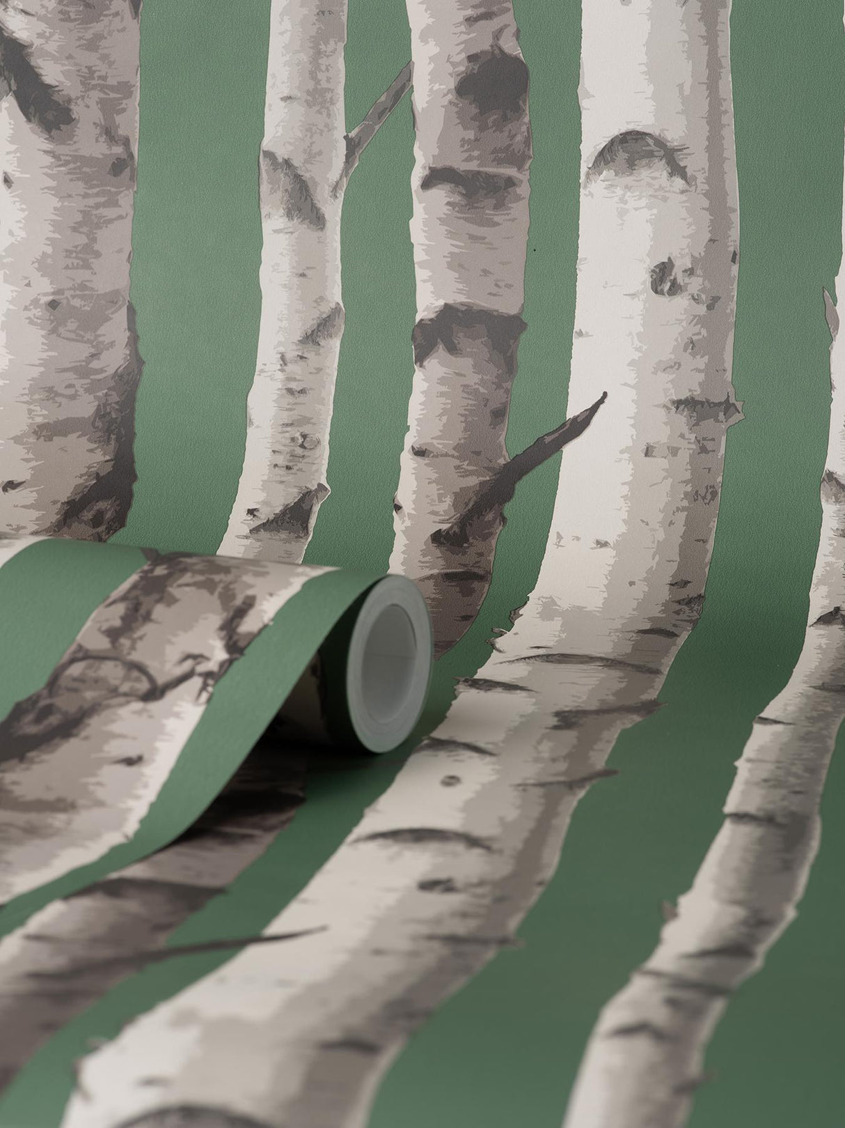 York Chester Dark Green Birch Trees Wallpaper