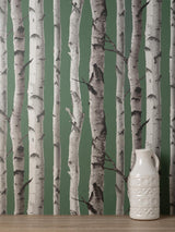 York Chester Dark Green Birch Trees Wallpaper