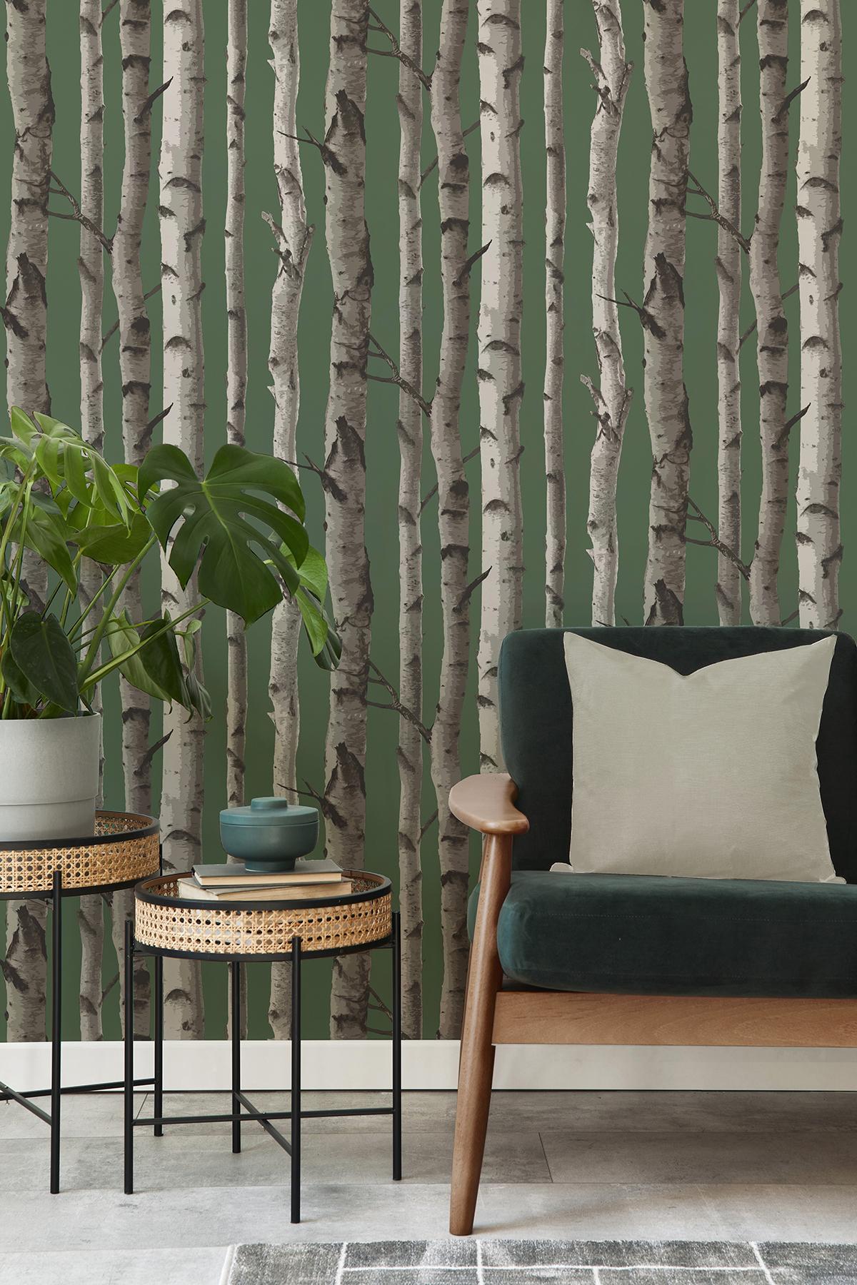 York Chester Dark Green Birch Trees Wallpaper