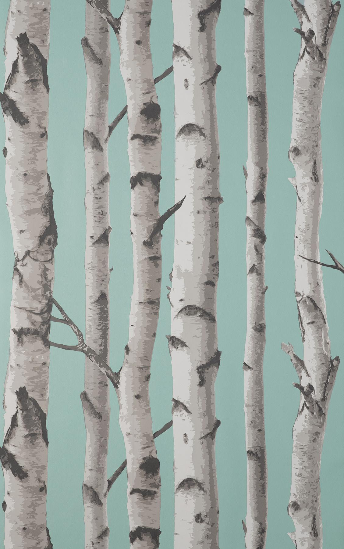 York Chester Aqua Birch Trees Wallpaper