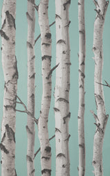 York Chester Aqua Birch Trees Wallpaper
