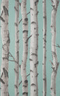 York Chester Aqua Birch Trees Wallpaper