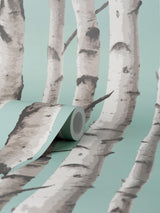 York Chester Aqua Birch Trees Wallpaper