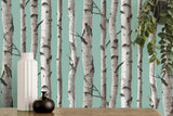 York Chester Aqua Birch Trees Wallpaper