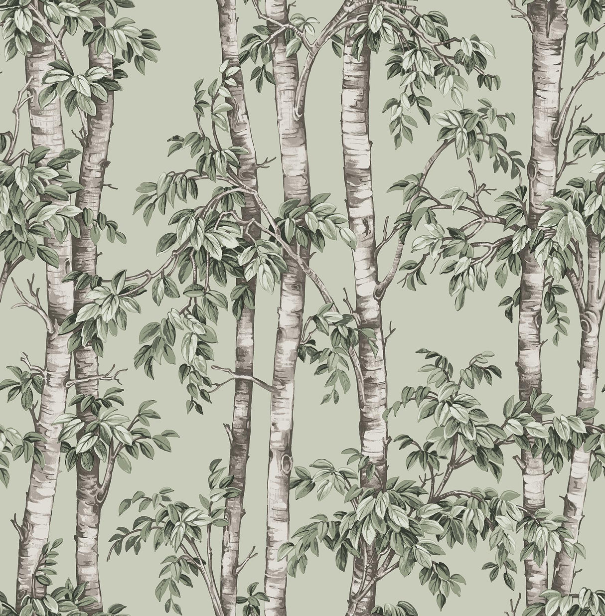 York Bastian Green Trees Wallpaper