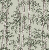 York Bastian Green Trees Wallpaper