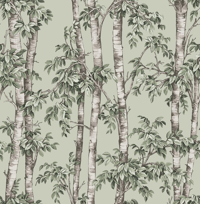 York Bastian Green Trees Wallpaper