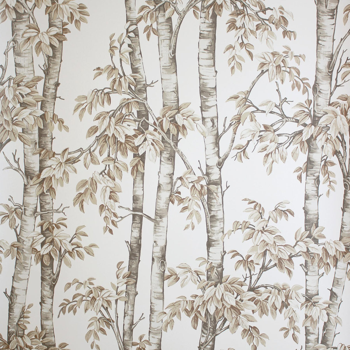 York Bastian Neutral Trees Wallpaper