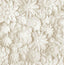 York Dacre Cream Floral Wallpaper