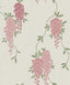 York Aisla Pink Wisteria Wallpaper