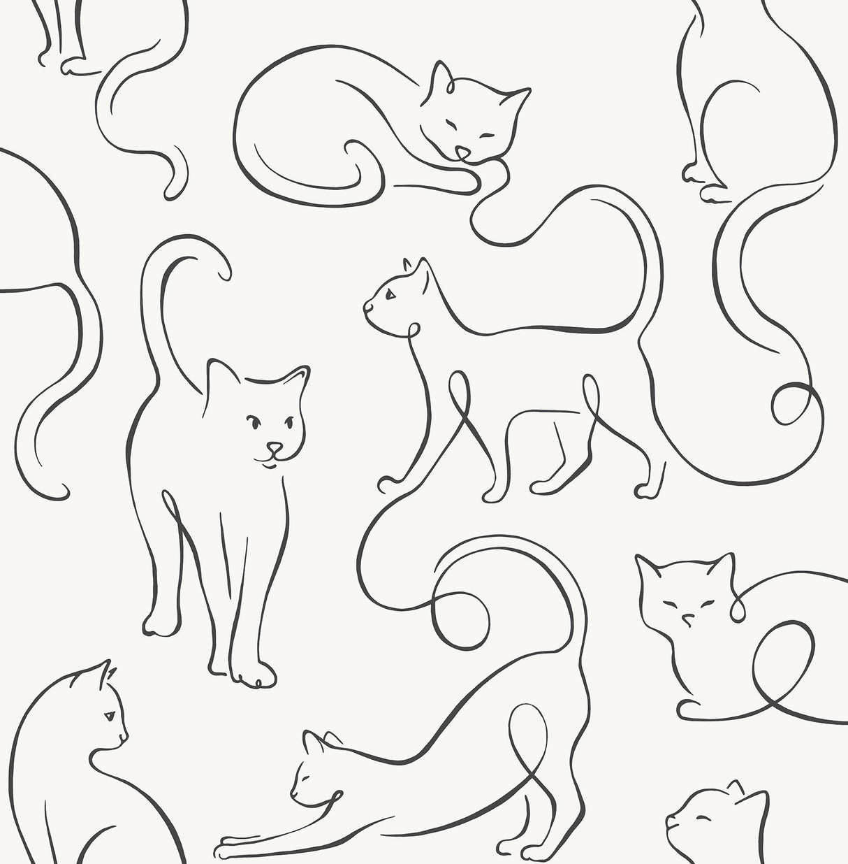 York Clarice Black Cat Sketches Wallpaper