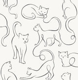 York Clarice Black Cat Sketches Wallpaper