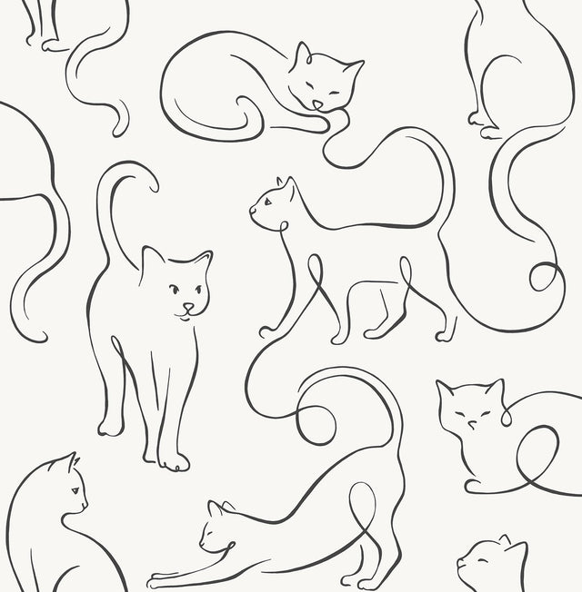 York Clarice Black Cat Sketches Wallpaper