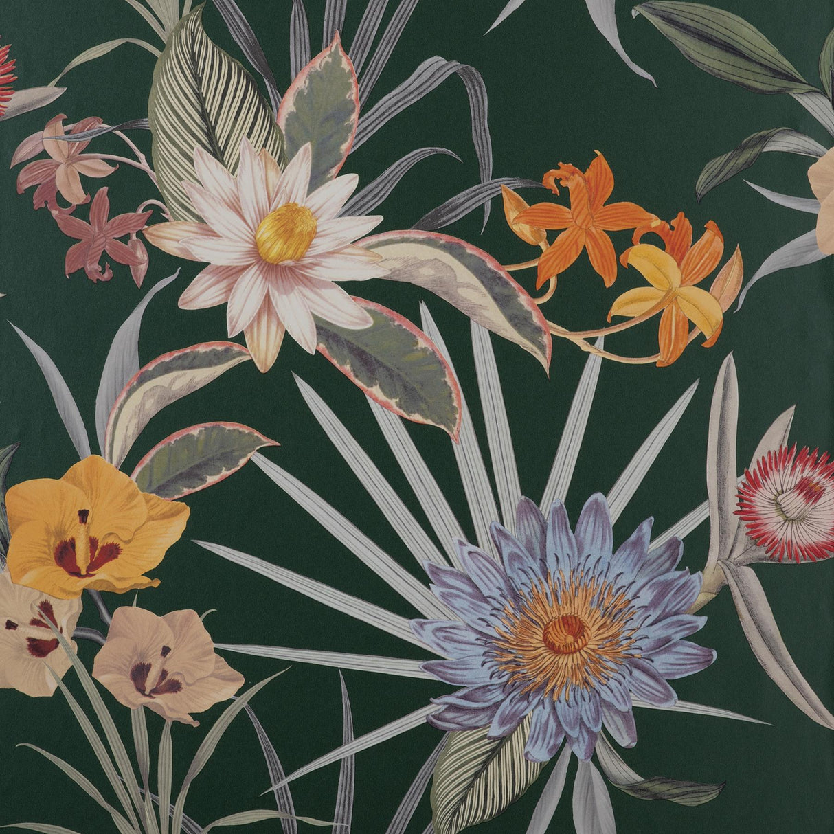 York Calista Dark Green Tropical Floral Wallpaper
