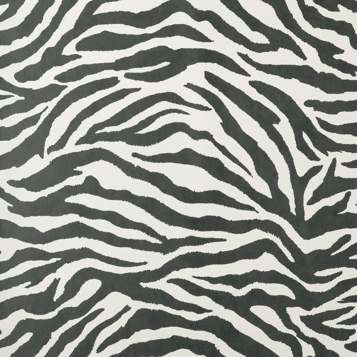 York Shoshana Black Modern Zebra Wallpaper