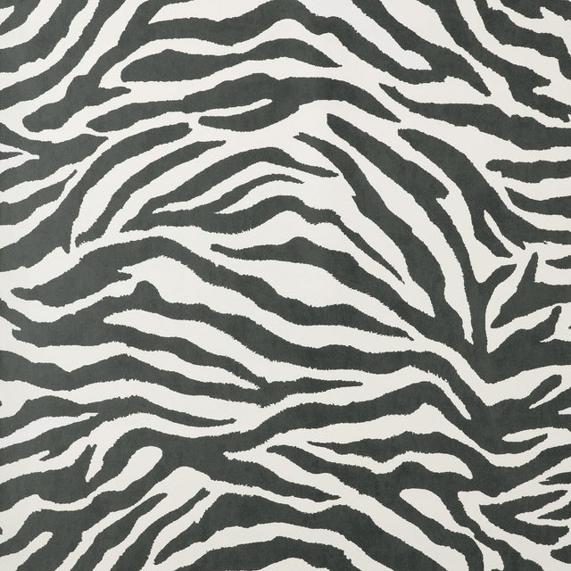 York Shoshana Black Modern Zebra Wallpaper