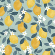 York Inigo Seafoam Sicily Fruits Wallpaper