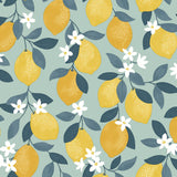 York Inigo Seafoam Sicily Fruits Wallpaper