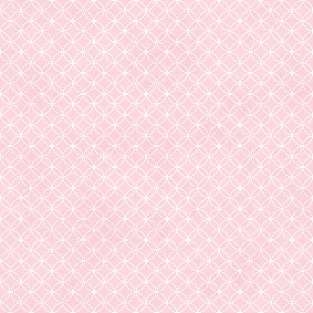 York Leena Pink Loopy Hoops Wallpaper
