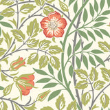 York Rosehip Trail Coral Pink Peel and Stick Wallpaper